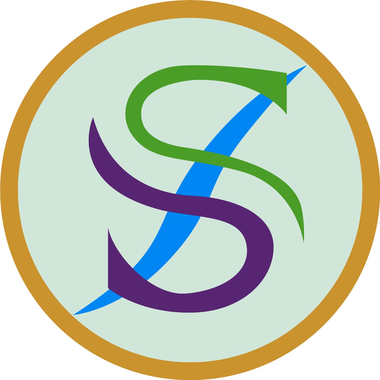 S & S net-logo